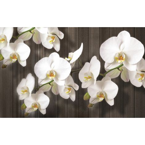 Papier peint panoramique - Fleurs - 130 cm x 81 cm (1/2)