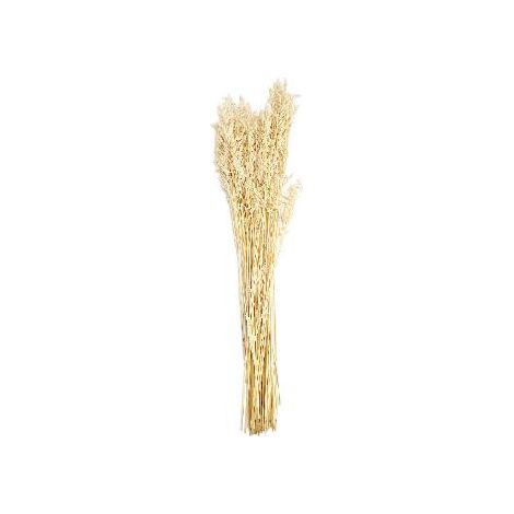 ANDREA HOUSE AX71138 Ramo Flor Seca Natural Avena Blanca - ref: AX71138