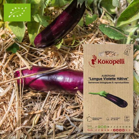 Aubergine Longue Violette Hâtive