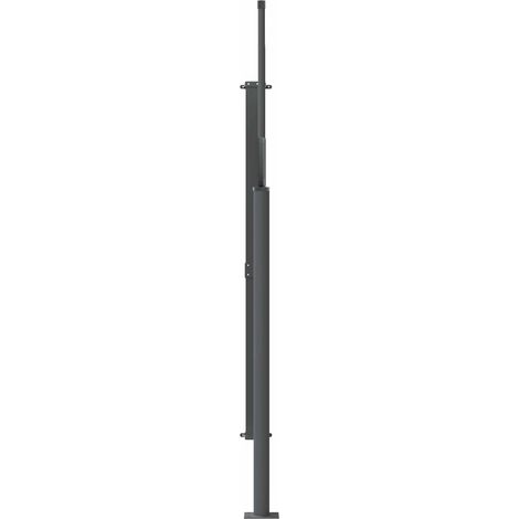 Maison Exclusive - Tenda laterale retrattile 100% poliestere ferro acciaio