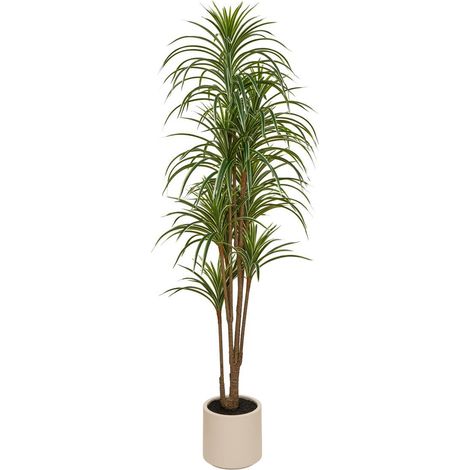 DRACENA MACETA VERDE BLC EDI H175 - Atmosphera créateur d'intérieur (1/3)