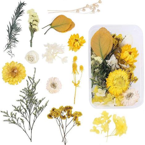DIY-Set mit natürlichen Trockenblumen und Aufbewahrungsbox: Gelbe Gänseblümchen, Hortensien, Eukalyptus (1/4)