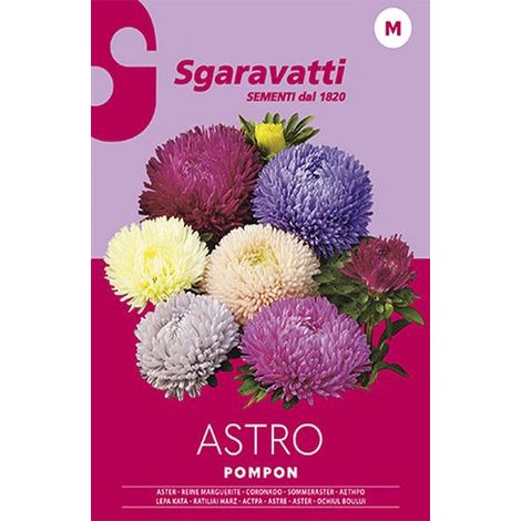 Semi per Prato Universale Astro Pompon Sgaravatti 20 Pezzi (1/2)