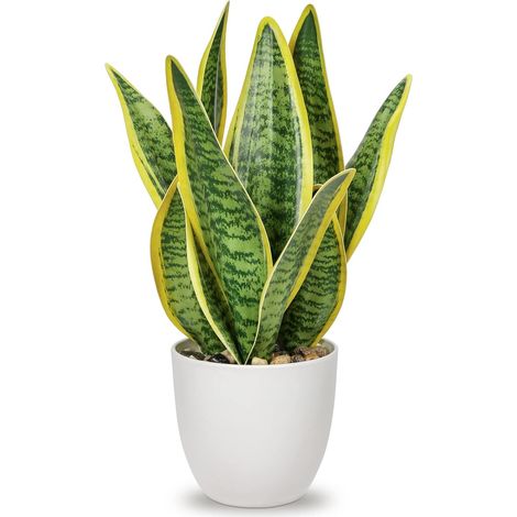 31cm Sansevieria - Plante Artificielle en Pot en céramique - Petite Plante d'intérieur - Plante de Serpent Artificielle - Plantes artificielles comme réelles - Parfait pour la Salle de Bain (1/5)