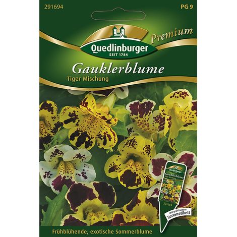Quedlinburger Saatgut – Mimule « Tiger » en mélange – Graines de fleurs, grandes fleurs tigrées, hauteur 20 cm