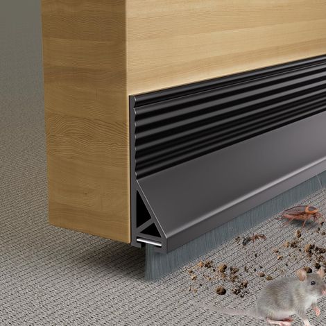 Türdichtung mit Bürste für Außen- und Innentüren, schalldicht, winddicht und staubdicht (100 cm, Schwarz) (1/5)