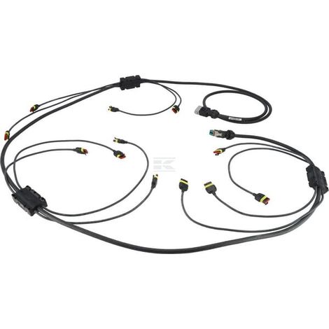Anschlusskabel 6x0,50 4,5m Quad Seletron ARAG 467492D061400 (1/2)
