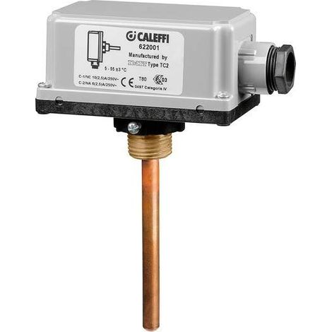 Zusätzlicher Sicherheitsthermostat für Strahlungspaneelsysteme Caleffi 622001 Grau (1/2)