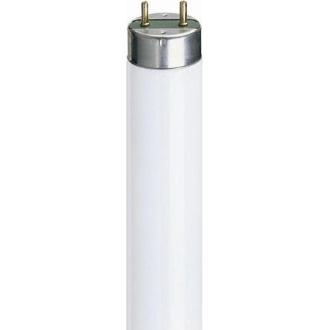 General electric 29548 Box of 25 18W T8 fluorescent lamps