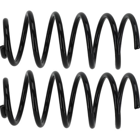 2x Coil Spring Rear for Opel Corsa D S07 2006-2014 93188900 RG6538 Black Coat (1/5)