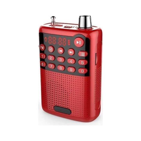 Red Personal Digital Sports Radio (1/3)