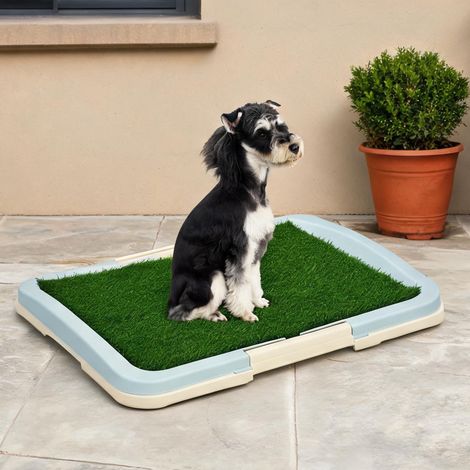 Toilette pour chien avec tapis en gazon artificiel et plateau 63 (1/5)