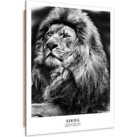 Quadro deco panel, Simbolo dell'Africa - 80x120 (1/5)