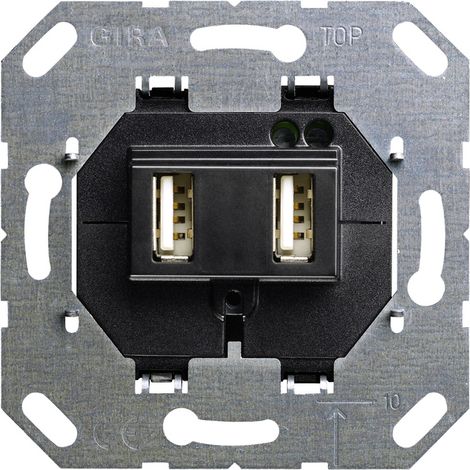 Gira Einsatz USB Steckdose Standard 55 Métallique
