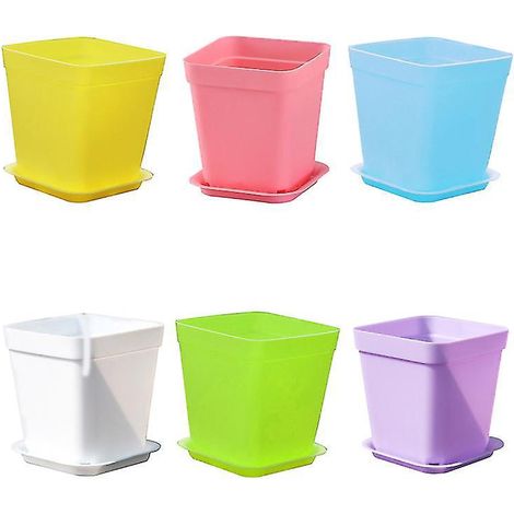 12 pots de fleurs fraîches (1/3)