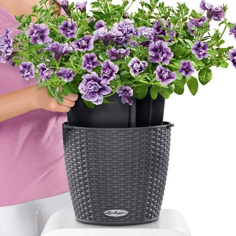 Jardinière Suspendue Lechuza Nido Cottage Kit Complet - Différents Coloris Granite (1/5)