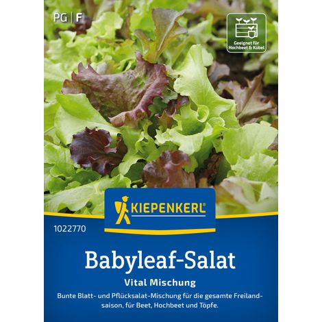 Kiepenkerl Saatgut Babyleaf-Salat Vital Mischung für ca. 1 - 2 m²