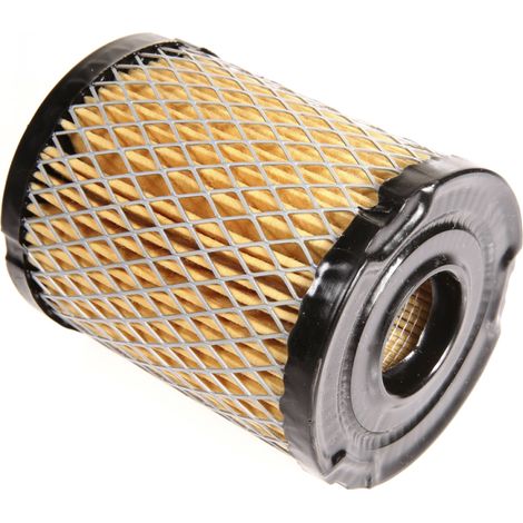 Filtre à air pour moteur Tecumseh 34782