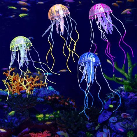 Ensemble de 4 Méduses en Silicone, Fluorescent, Avec Ventouses, Ligne Invisible, Pour Aquarium Eau De Mer (1/5)