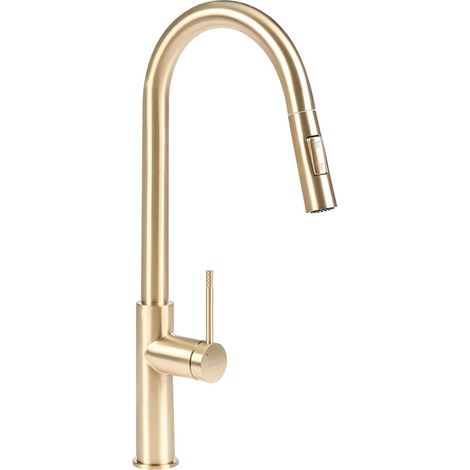 Kitchen Tap Gold Stainless Steel Pull Out Mixer Spring Coil Faucet with Flexible Spring Hose PARANAM (1/5)