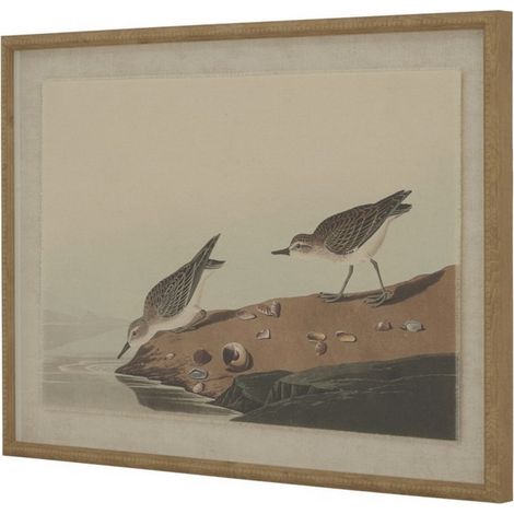 Flora & Fauna Collection Stints on Linen in Beaded Frame - Glass - L2 x W62 x H45 cm - Brown