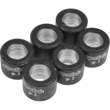 Rodillos/pesas para variador Polini HQ, 16x13 - 6,30 g, 6 unidades