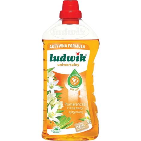 Ludwik Backpulver Universal Flüssig Orange und Zitronengras 1000ml (1/3)