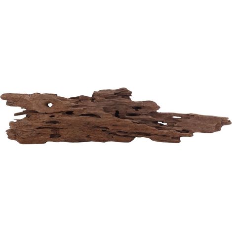 L Honey Comb Wurzel Nr.2981 Holz Deko Aquascaping