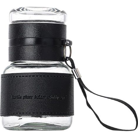 Teeflasche mit Teesieb Reise Teeflasche Teezubereitung für unterwegs Doppelwandiges Glas 320 ml Transparent (1/5)