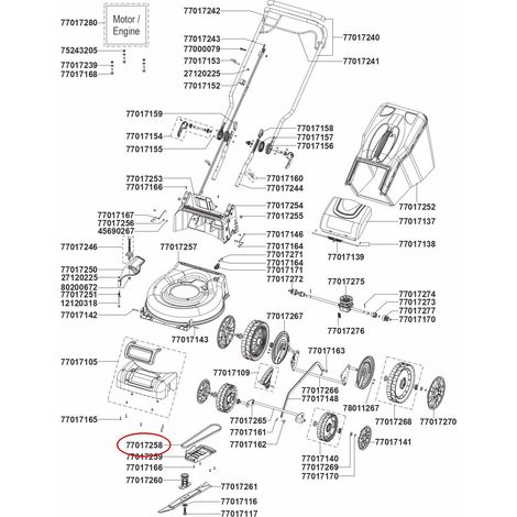 Keilriemenabschnitt 3L - Typ Z 30 1/2 Zoll IKRA - MOGATEC 056869