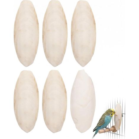 Lot de 6 os de seiche (9–11 cm), riches en calcium naturel, pour tortues, reptiles et perroquets Jouet à mâcher pour l'entretien du bec et la digestion (1/5)