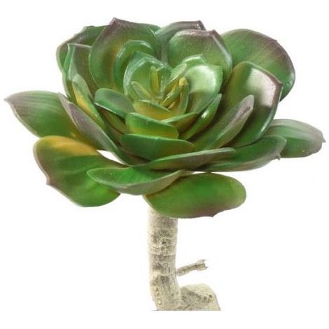 Succulente artificielle ronde en tige H 15 cm D 10 cm (1/2)