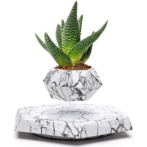 Pot de plantes succulentes, bonsaï d'air et plantes d'air. Pots de fleurs pour la maison, le Bureau et la décoration de bureau. Affichage à lévitation magnétique. (marbre) (1/4)