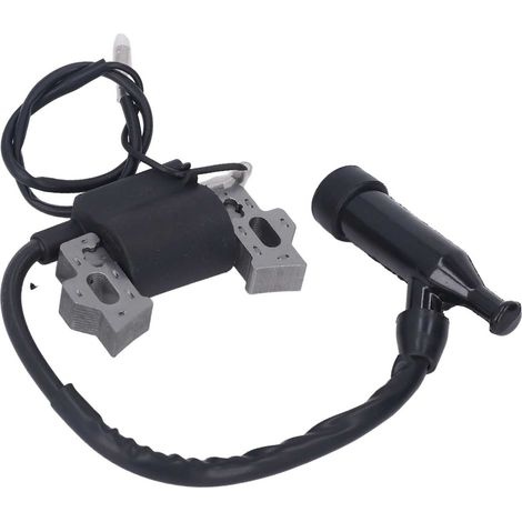 Bobine d'allumage haute tension 168F pour moteur à essence, pièce de rechange compatible, allumeur fiable, moteur thermique 4 temps, remplacement direct, qualité robuste. (1/5)