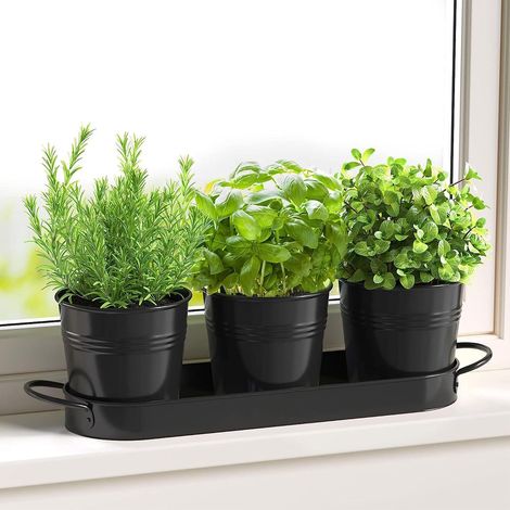 Trois pots en métal avec plateaux à herbes aromatiques, mini vases pour cactus et plantes grasses, pots en verre, rebords de fenêtres et balcons, cultivez vos herbes aromatiques (1/4)