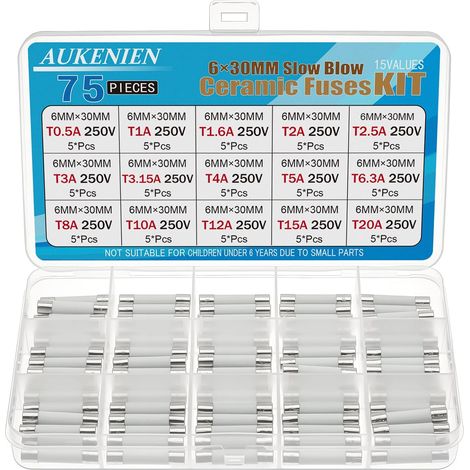 6X30MM Fusible Ceramique Fusion Lente Kit 15 Valeurs 0,5A 1A 1,6A 2A 2,5A 3A 3,15A 4A 5A 6,3A 8A 10A 12A 15A 20A 250V 75 Pièces 6X30 MM 250 Volts Fusibles à Tube en Céramique Temporisé (1/5)