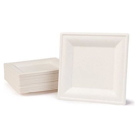 50 assiettes jetables en canne à sucre, carrées 16x16 cm, compostables, résistantes aux graisses et au micro-ondes