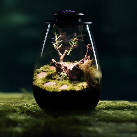 Mini lampe horticole pour terrarium - Lampe LED pour plantes en bouteille en verre, micro-paysage, USB 5V, noire-AquaForge (1/3)