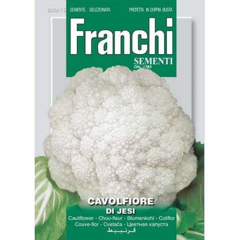 SEMI CAVOLFIORE DI JESI 30/15 (1/2)