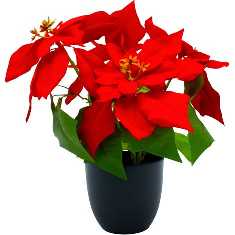 Künstlicher Weihnachtsstern im schwarzen Topf - 32 cm - Kunstblume Poinsettie in naturgetreuer Nachbildung
