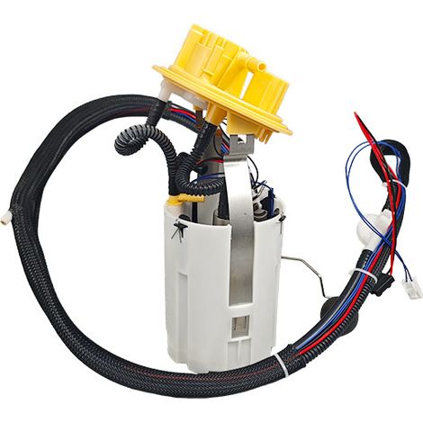 Die Referenznummern 30761743, 31261128, 30769013 und F00E192351 gelten für Kraftstoffpumpen des Volvo S80/S60.
