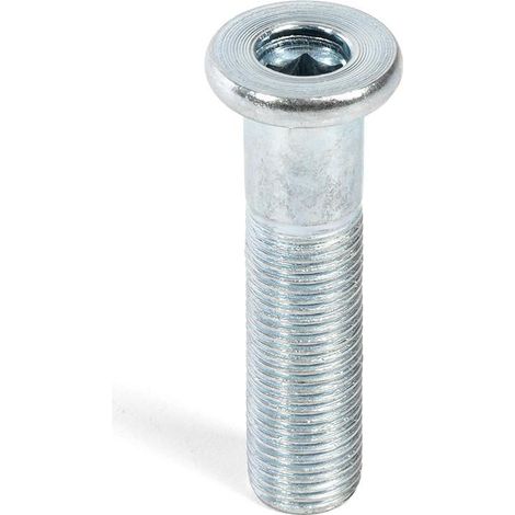 CAMAR tornillo regulacion m10x40 pie niv. 308 , 0UNIDADES (1/3)