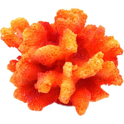1 corail d'aquarium, décoratif en résine, réaliste, 10 x 10 x 5 cm, pour aquarium et décoration intérieure/extérieure (1/5)