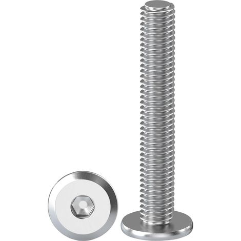 10 Pièces Vis à Tête Plate Avec Six Pans Creux M8 X 60 mm Boulons à Tête Plate Hexagonale en Acier Inoxydable A2 V2A Vis à Tête Cylindrique Hexagonale à Bride Boulons Allen (1/5)