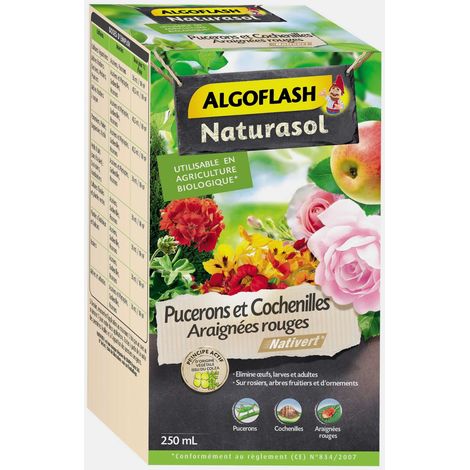 Insecticide Concentré- ALGOFLASH 250 ml