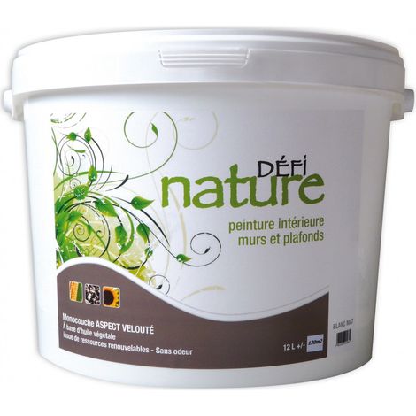 Peinture DEFI NATURE mate