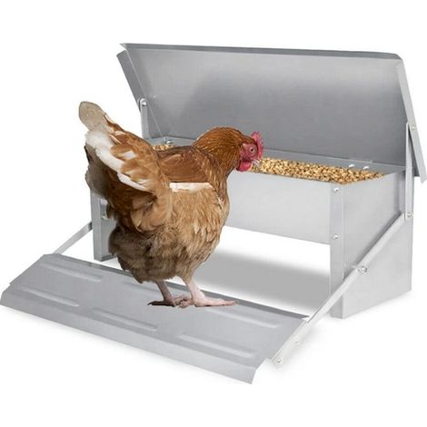 Mangeoire automatique avec couvercle Distributeur automatique Auge Auge d’alimentation résistante aux intempéries 5kg (1/5)