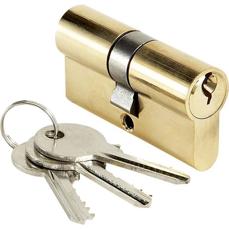 Cylindre de porte BRICARD 40x40 mm Barillet de serrure double entrée 3 clés (1/3)