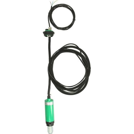 Pompe submersible pour combustibles biogènes