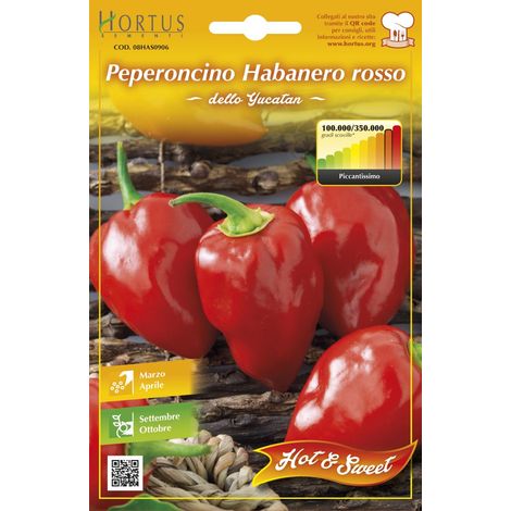 SEMI ORTO PEPERONCINO HABANERO ROSSO- HORTUS SEMENTI- 10,0 pz